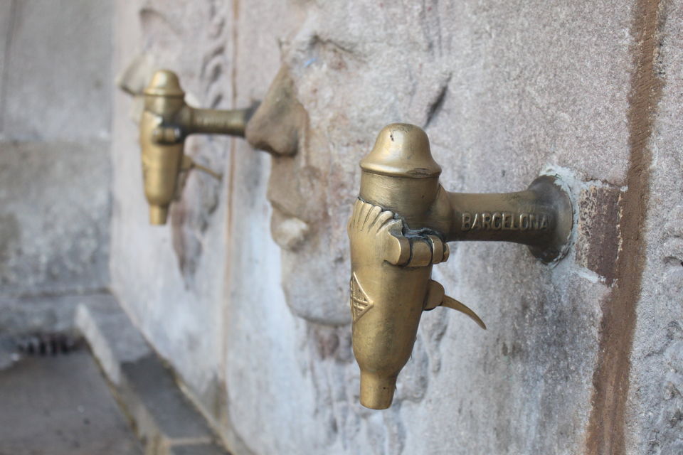 Photo of Viva Barcelona | 10 things to do around La Rambla 2/20 by Tahseen Taj
