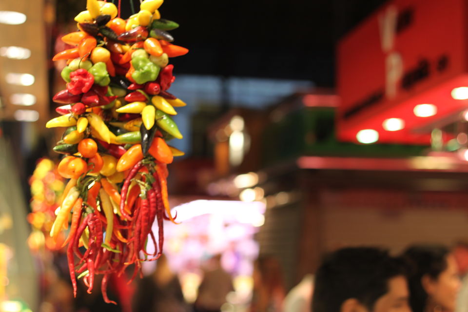 Photo of Viva Barcelona | 10 things to do around La Rambla 13/20 by Tahseen Taj