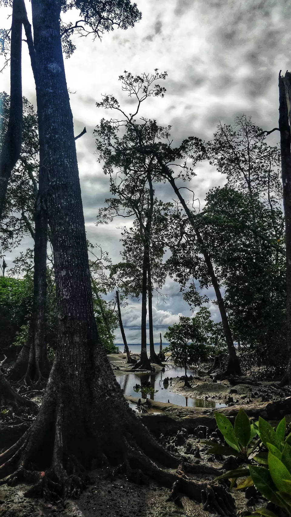 Photo of Elephant Beach, Port Blair, Andaman and Nicobar Islands, India by Ashwini Shankar