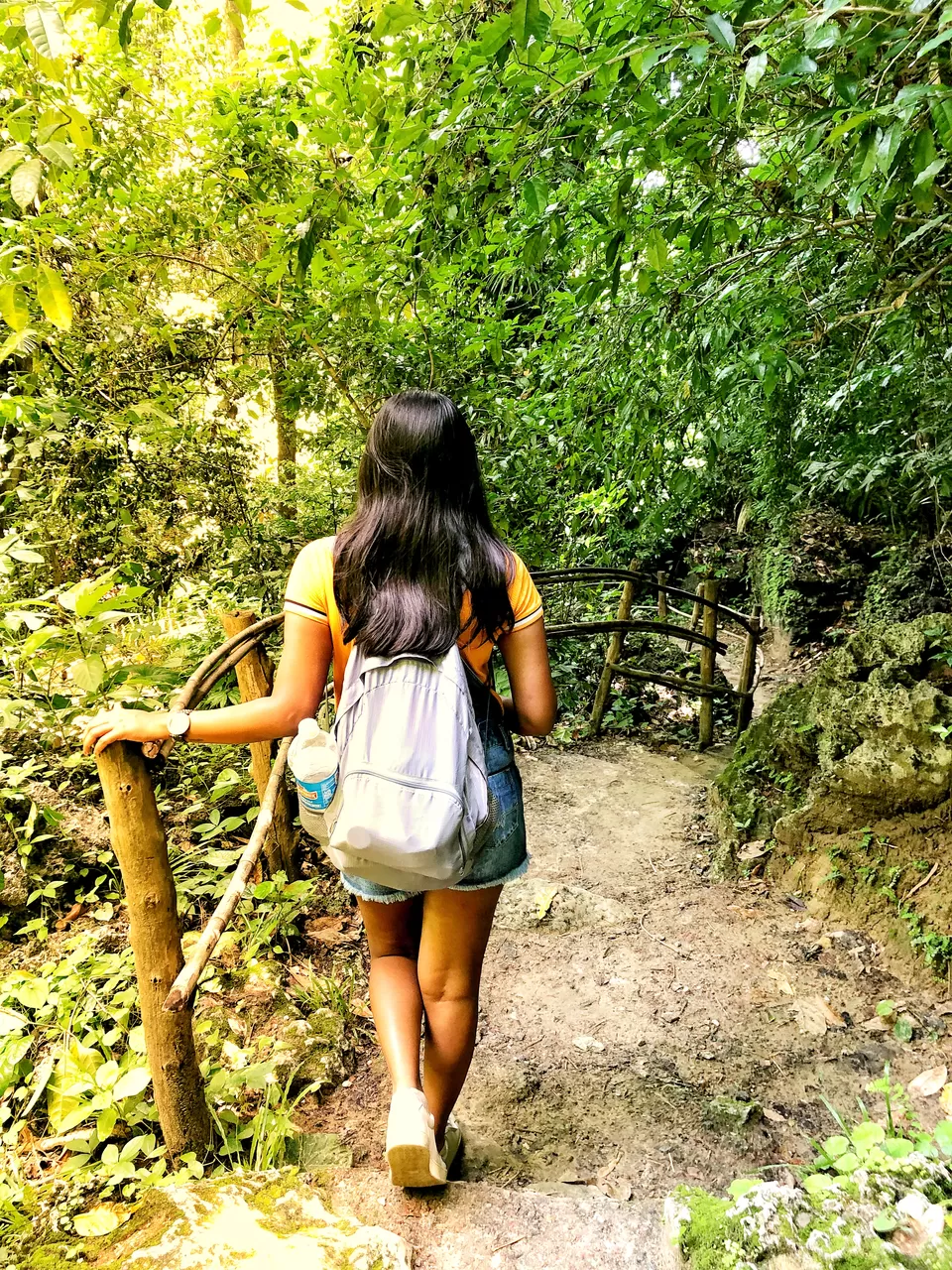 Photo of Mangrove Forest, Andaman and Nicobar Islands by Ashwini Shankar