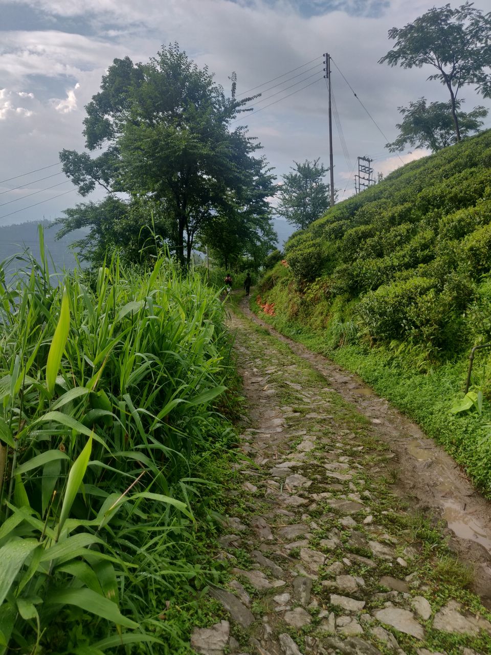 Photo of Exploring Narkanda, HP by India Unseen