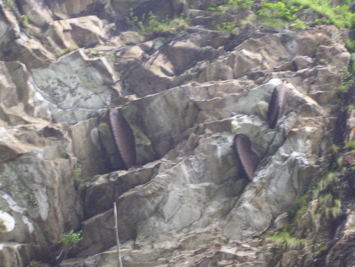 Photo of Ghangaria, Uttarakhand, India by India Unseen