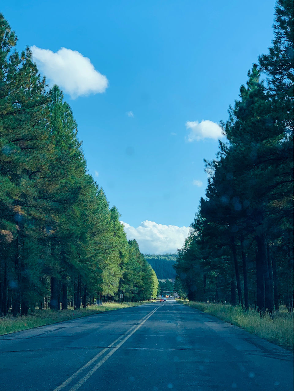 Photo of Trip To Flagstaff! by DEEPALI KUMAR
