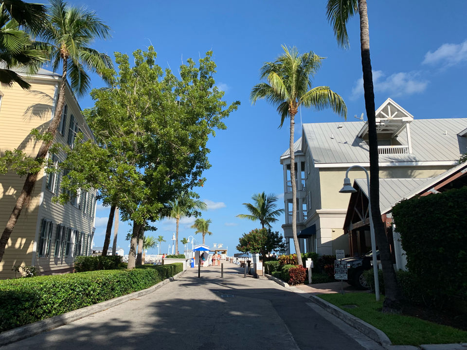 Photo of Step into Florida-the most Sizzling State Of The Nation! by Deepali Kumar