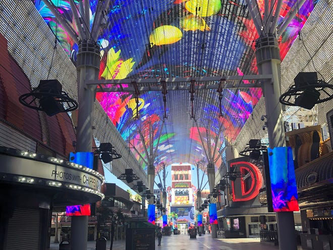 Photo of It’s Vegas Baby! by Deepali Kumar