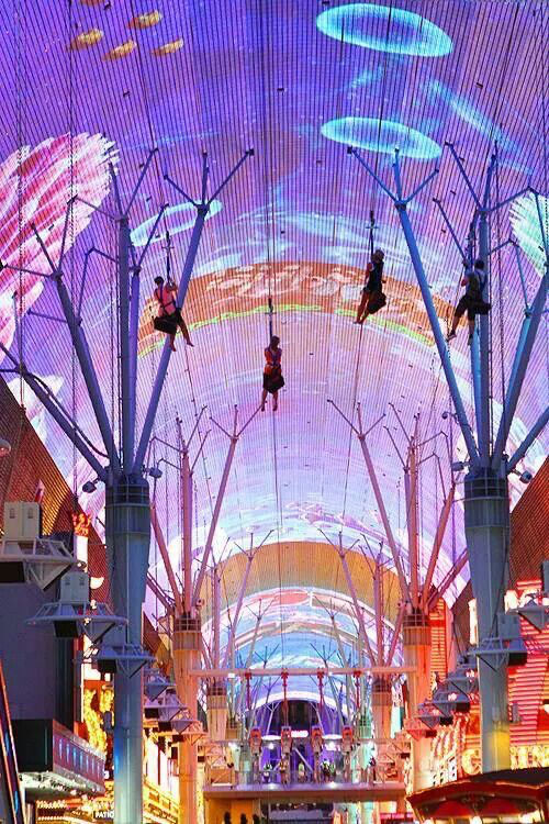 Photo of It’s Vegas Baby! by Deepali Kumar
