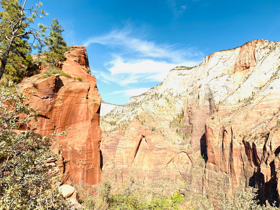 Photo of Trip To Zion’s National Park! by Deepali Kumar