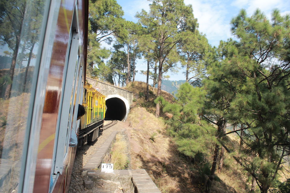 Photo of Kalka-Shimla Mountain Railways of India 5/8 by globalwight(Rohit Dahiya)