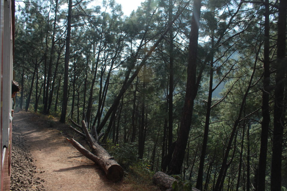 Photo of Kalka-Shimla Mountain Railways of India 6/8 by globalwight(Rohit Dahiya)