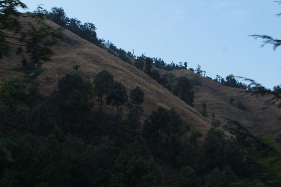 Photo of Kalka-Shimla Mountain Railways of India by globalwight(Rohit Dahiya)