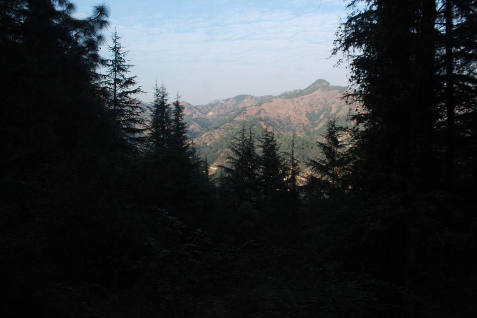 Photo of Kalka-Shimla Mountain Railways of India by globalwight(Rohit Dahiya)