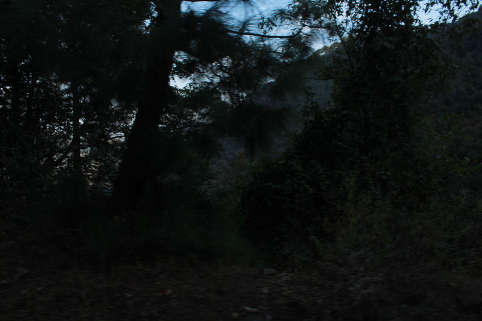 Photo of Kalka-Shimla Mountain Railways of India by globalwight(Rohit Dahiya)