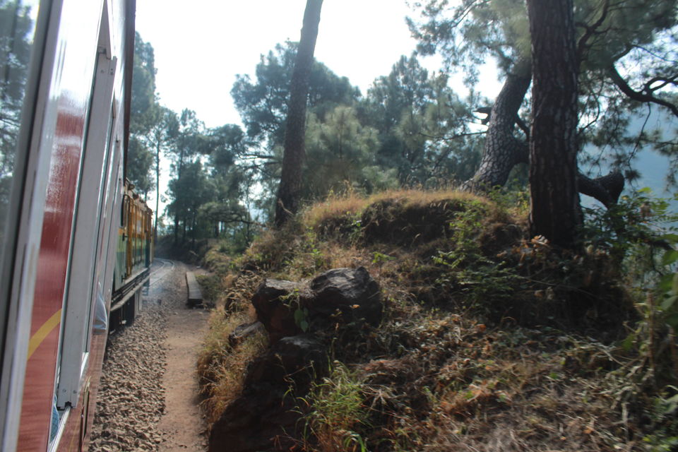 Photo of Kalka-Shimla Mountain Railways of India by globalwight(Rohit Dahiya)