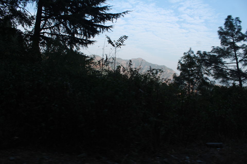 Photo of Kalka-Shimla Mountain Railways of India by globalwight(Rohit Dahiya)