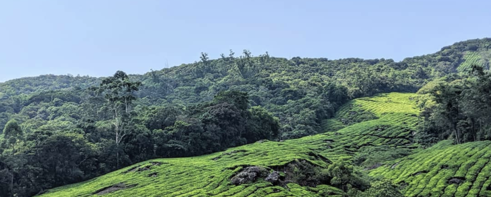 Photo of Megamalai - Kiss the clouds by Gautham S