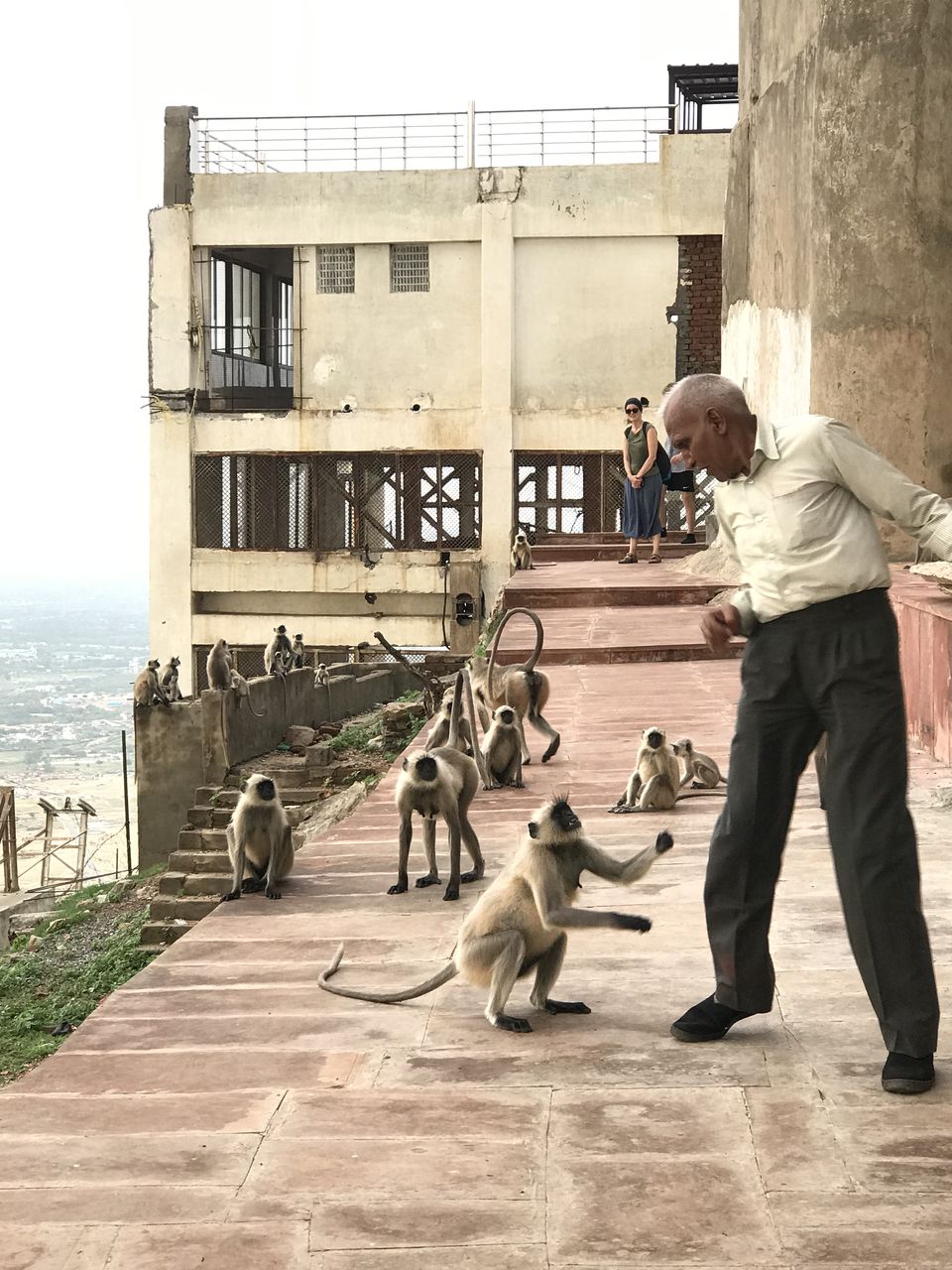 Photo of Jaipur- Pushkar : Weekend Getaway by Navleen Kaur