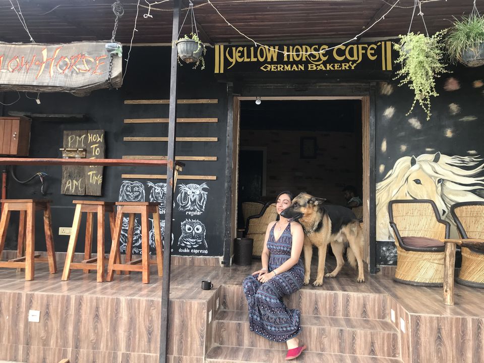 Photo of Jaipur- Pushkar : Weekend Getaway by Navleen Kaur