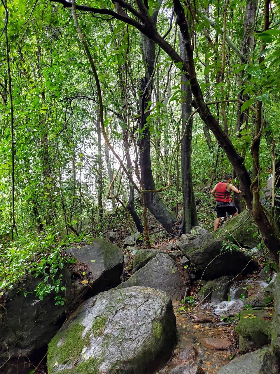 Photo of 20 kms Trekking At Dudhsagar Falls, Goa In Monsoon #trekking #monsoon #goa by Travel with Jayant
