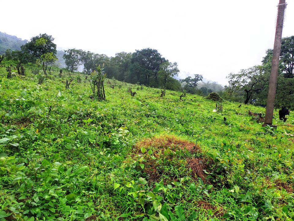 Photo of 20 kms Trekking At Dudhsagar Falls, Goa In Monsoon #trekking #monsoon #goa by Travel with Jayant