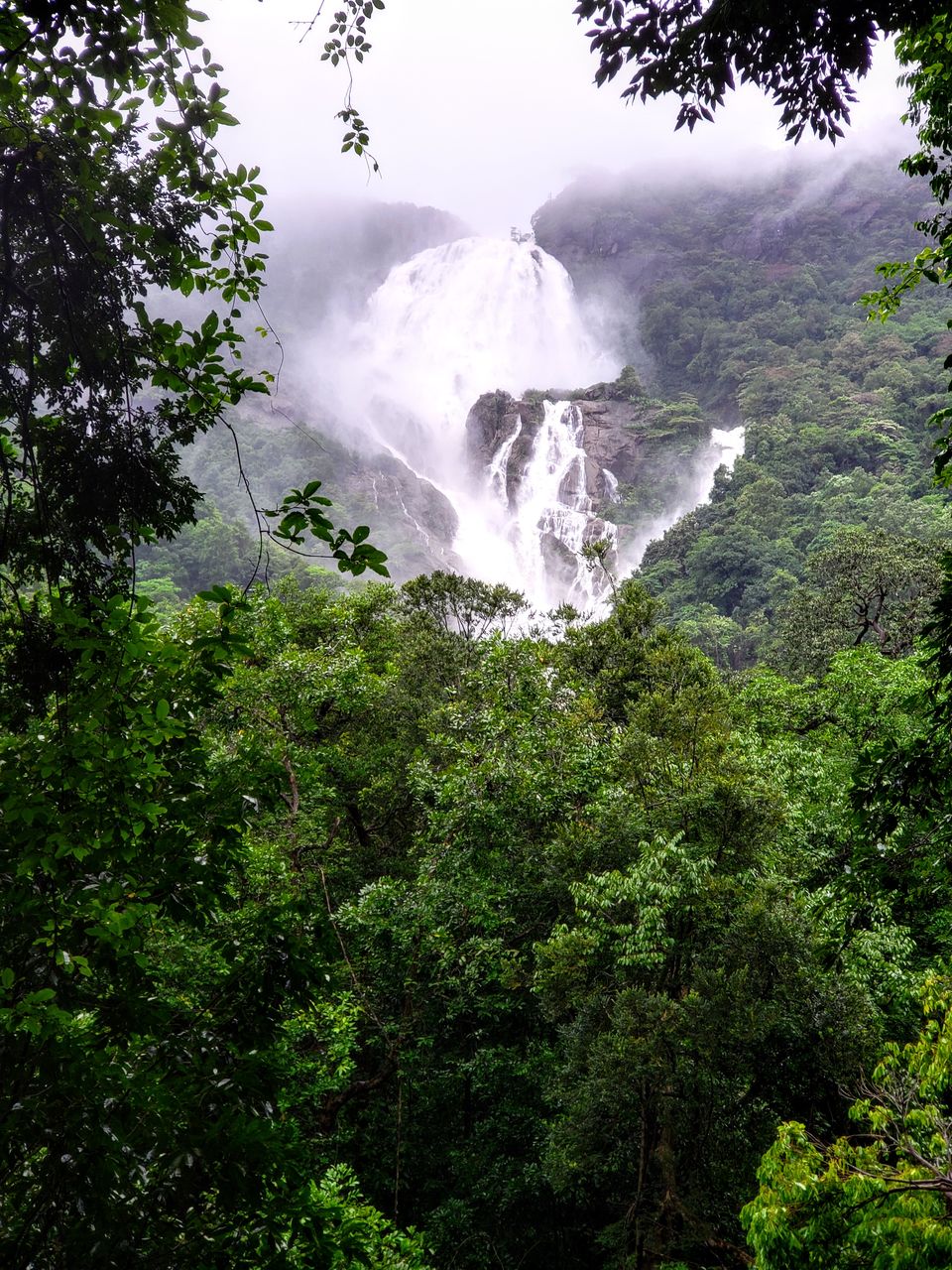 Photo of 20 kms Trekking At Dudhsagar Falls, Goa In Monsoon #trekking #monsoon #goa by Travel with Jayant