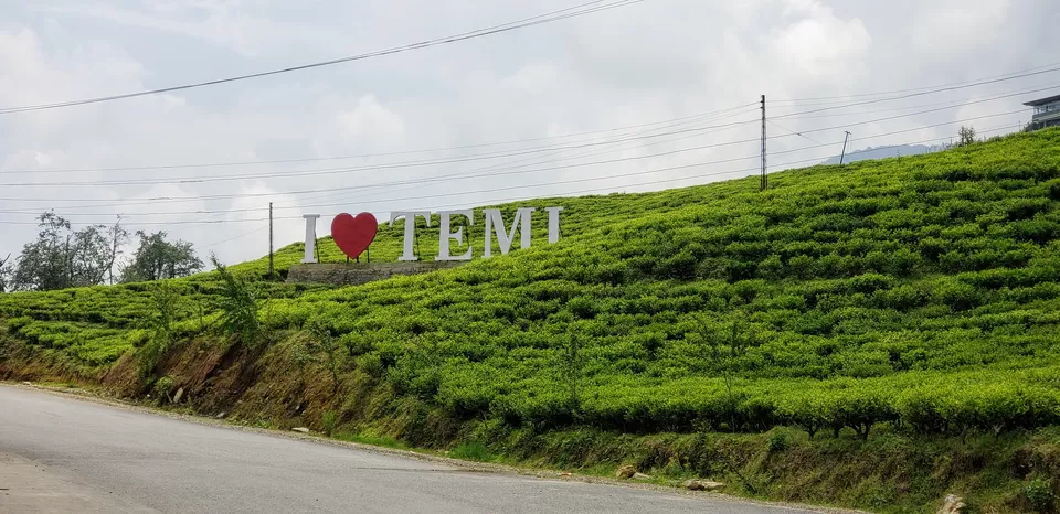 Photo of Temi Tea Estate, Sikkim, India by Travel with Jayant