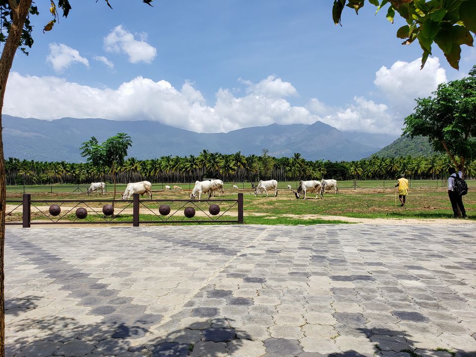 Photo of A Quick Guide To Explore Adiyogi Shiva, Velliangiri #westernghats by Travel with Jayant