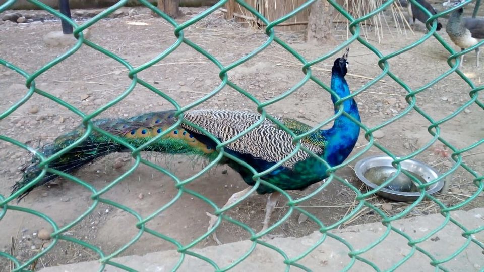 Photo of जैसा सुना था उससे हटकर पाया जम्मू 8/8 by pravesh kumari