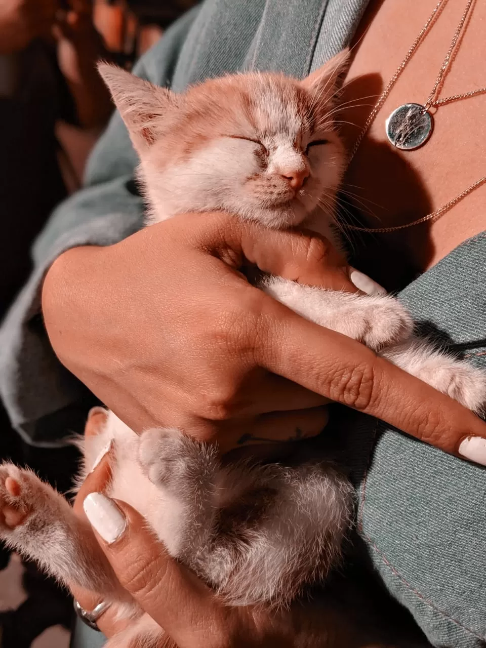 Photo of HOOMANS are not so BAD after all! by That NomadCouple
