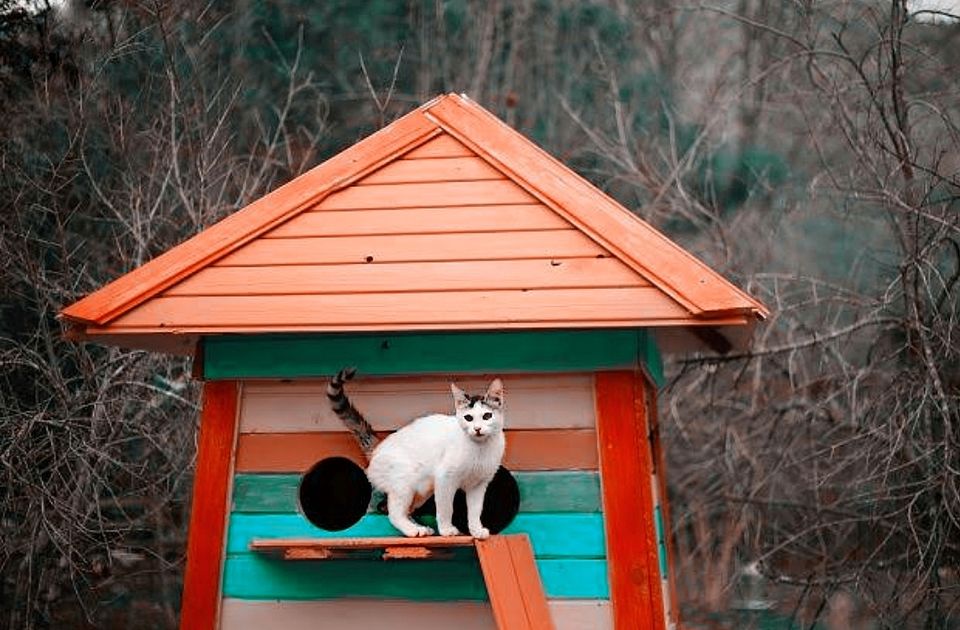 Photo of 7 Places that you can't afford to miss in Antalya, Turkey 13/24 by That NomadCouple