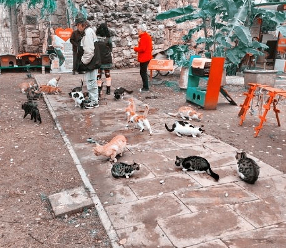 Photo of 7 Places that you can't afford to miss in Antalya, Turkey 14/24 by That NomadCouple