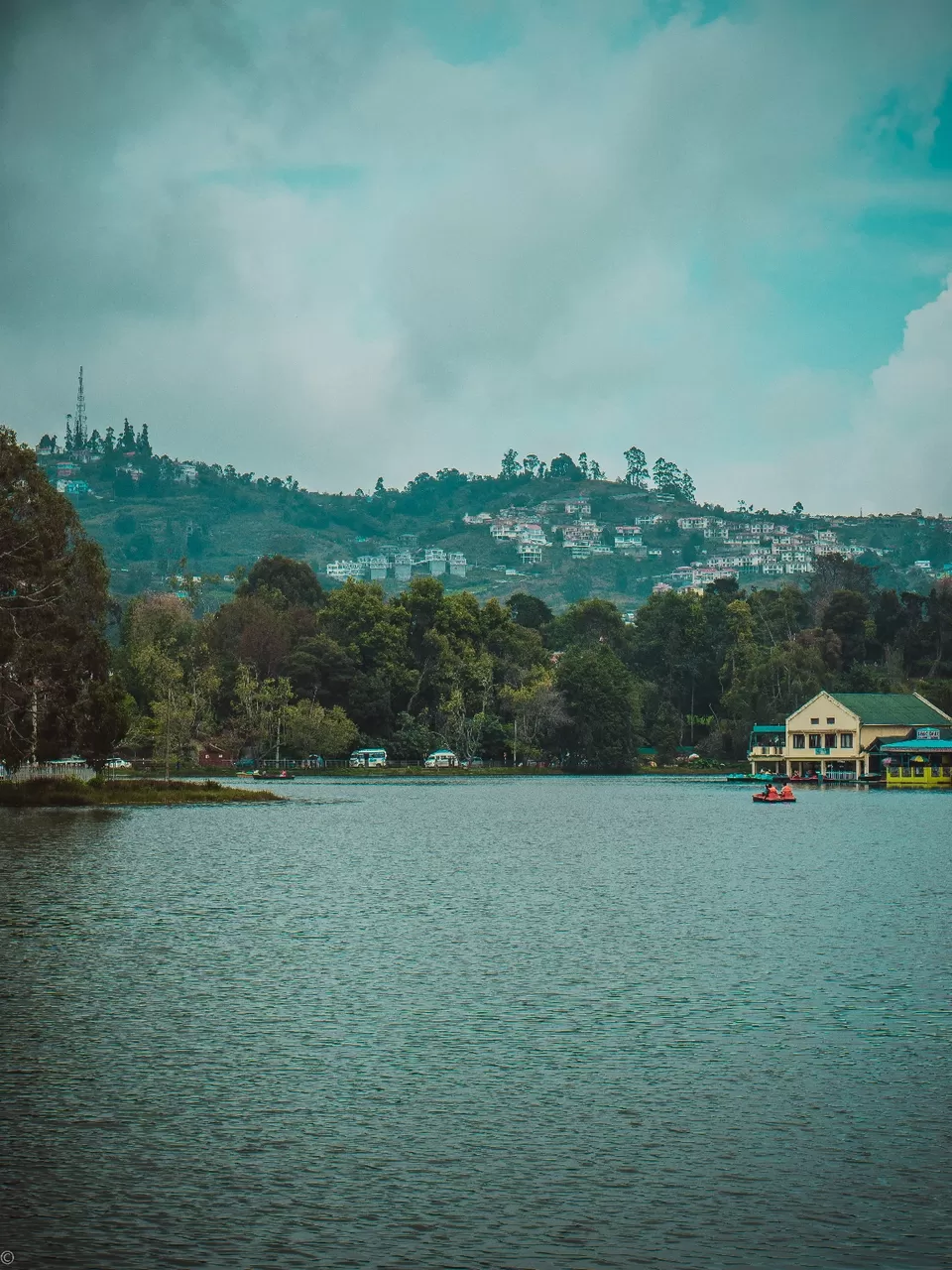 Photo of Black to Green by sidharth km