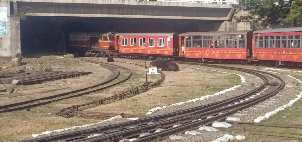 Photo of Kalka-Shimla Toy Train Journey @ UNESCO Heritage sites 2008 by CheLa The Excited Traveler