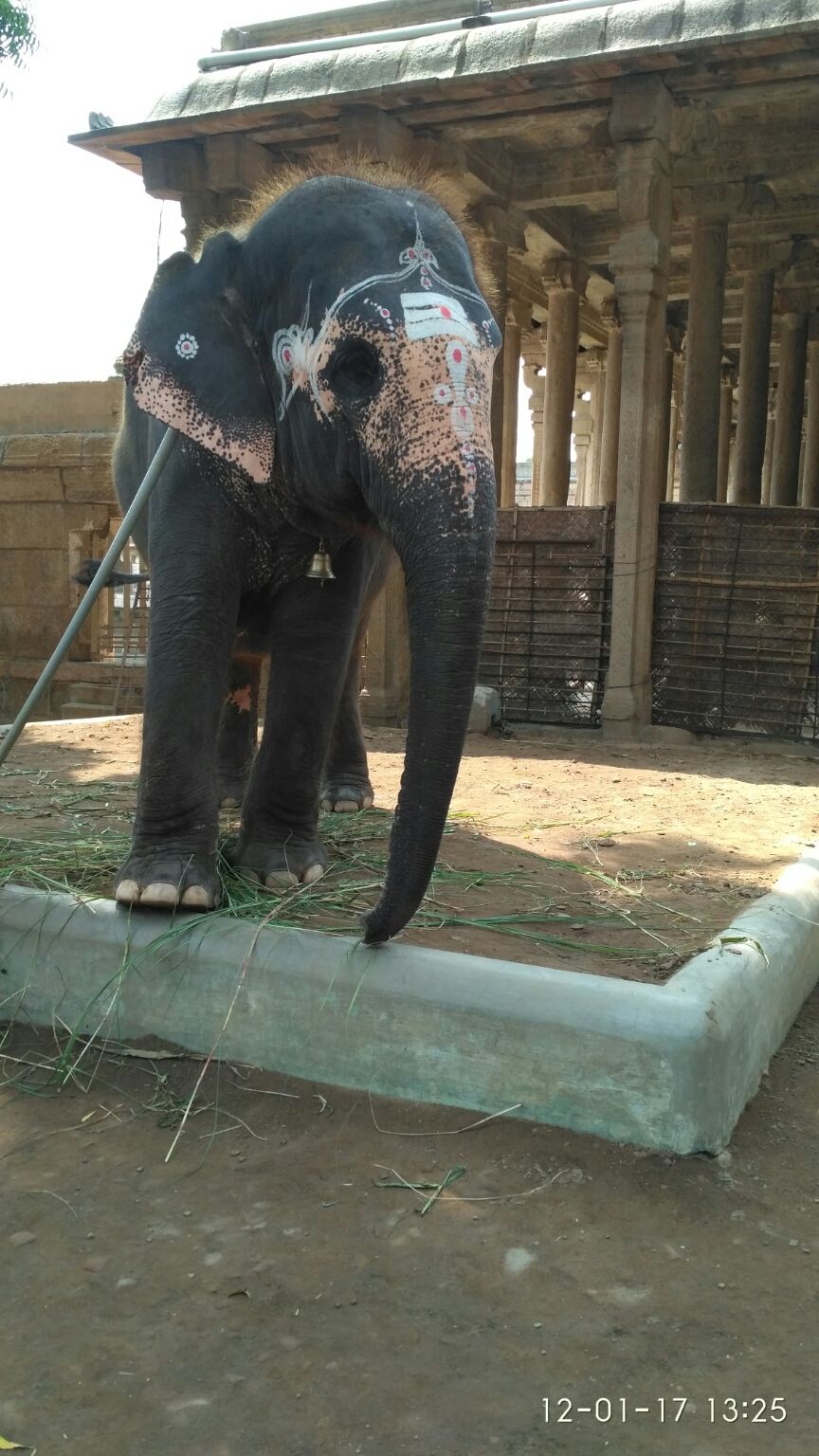 Photo of A Devotional Drive to Tamil Nadu by avinash
