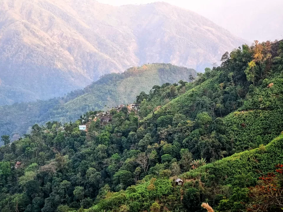 Photo of "Whispers of the Forest: Trekking to Wah Myor in Kongthong Meghalaya" by Dipankar Kalita