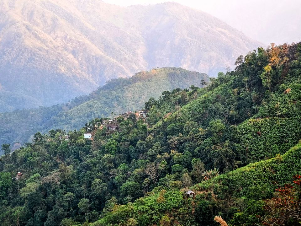 Photo of "Whispers of the Forest: Trekking to Wah Myor in Kongthong Meghalaya" by Dipankar Kalita