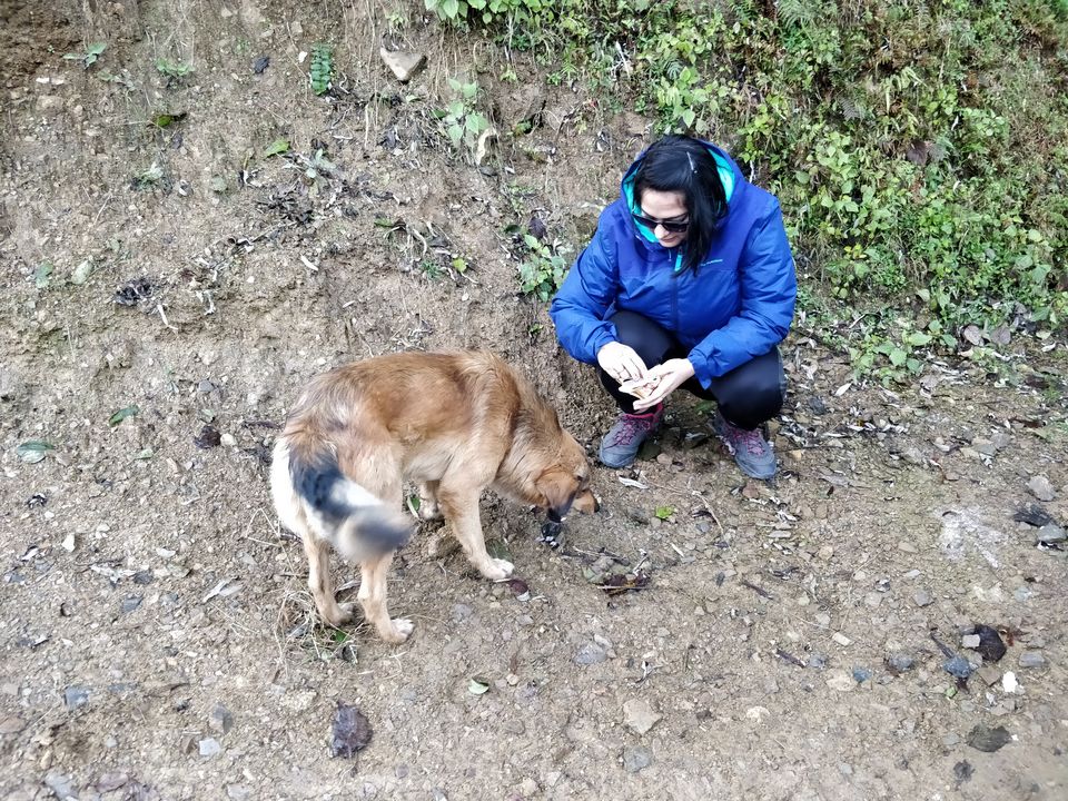 Photo of Nag Tibba Trek on the New Year Day with my wife. 1/2 by Prateek Raizada