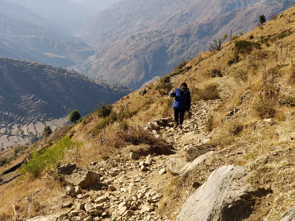 Photo of Pantwari, Uttarakhand, India by Prateek Raizada