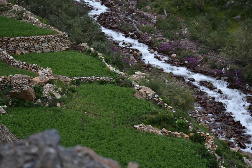 Photo of KINNAUR-SPITI MOTORCYCLE DIARIES 18/30 by Bhuvan Sharma