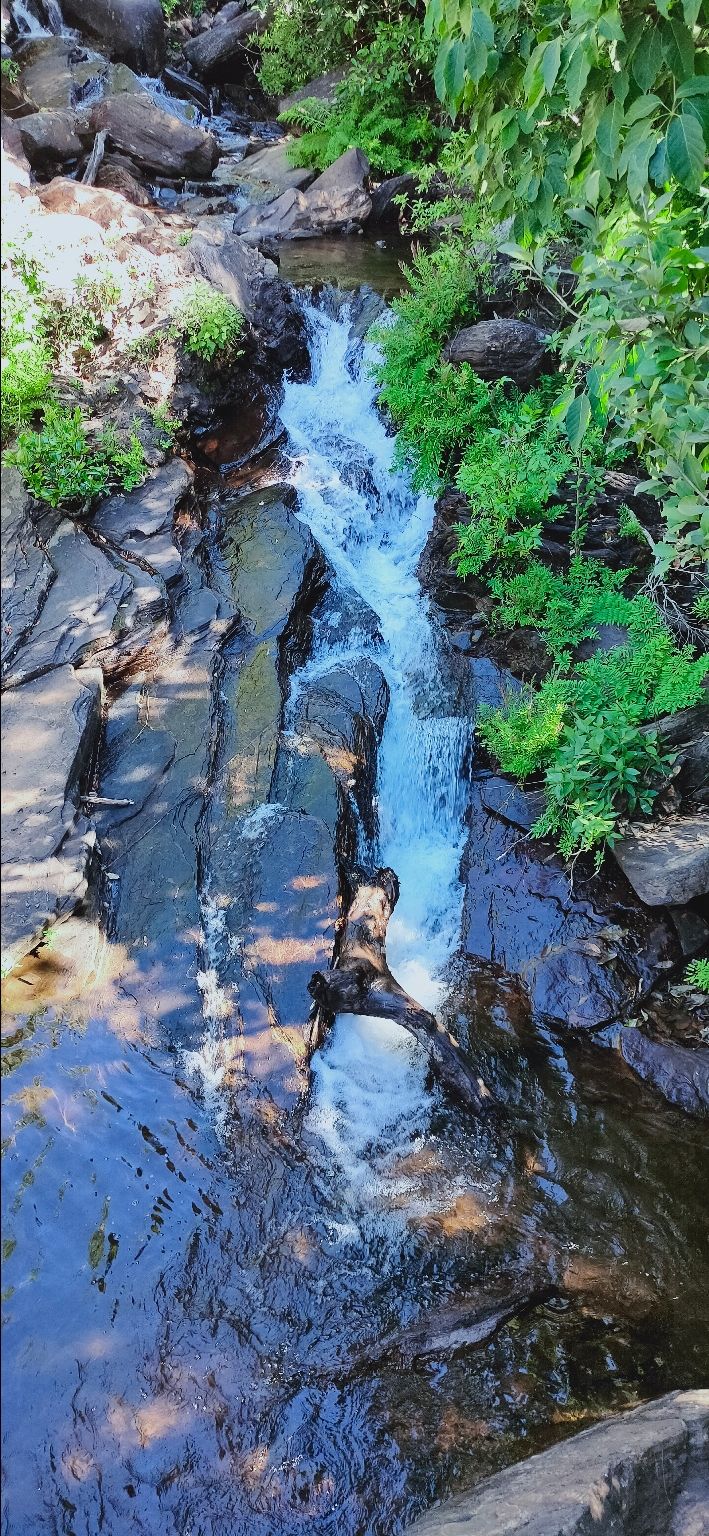 Photo of Chikmanglur: Coffee Land || Mullayanagiri, Hebbe falls, Belur,Halebeedu, || Bike Trip || Backpacking by HARSHA VARDHAN VARMA