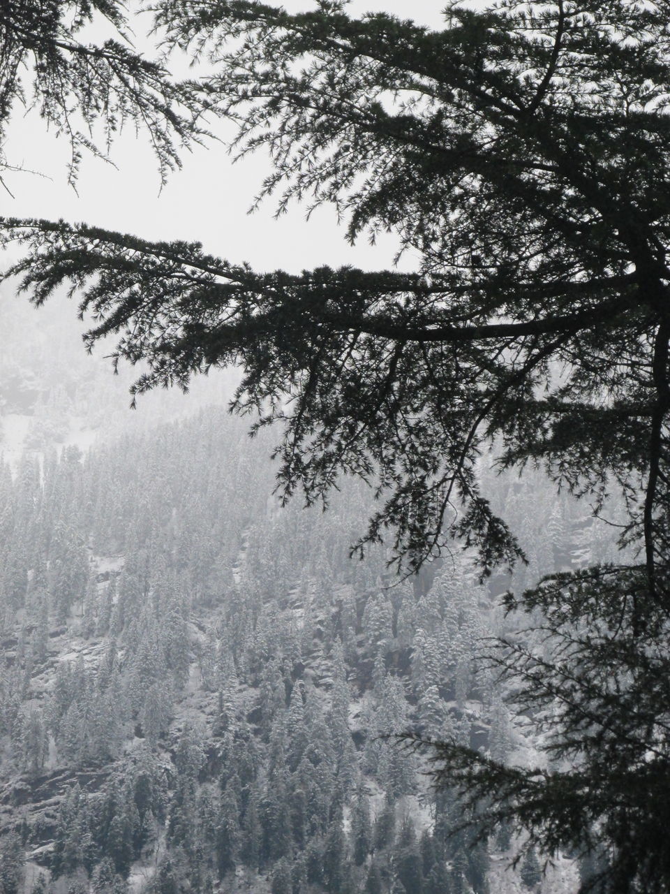 Photo of Paddling in the Mountains 1/14 by Ghaniya Aureen