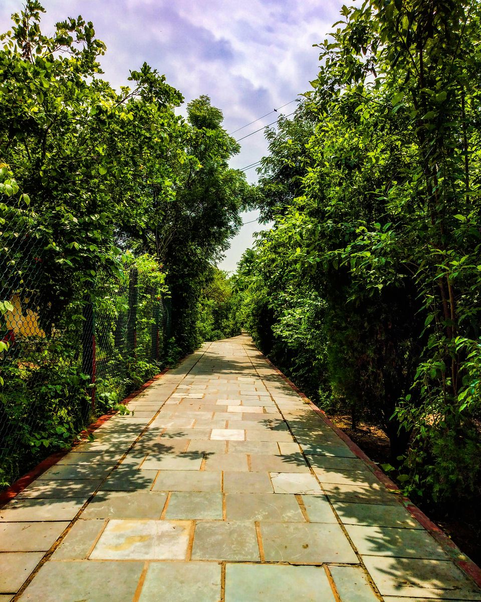 Photo of Top 5 City Forests in Delhi by Ghaniya Aureen