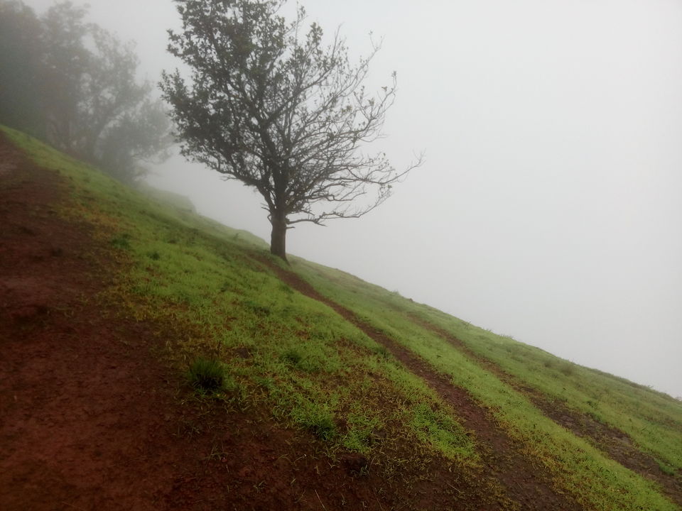 Photo of In Matheran's Mist 4/12 by Nilesh Jayswal