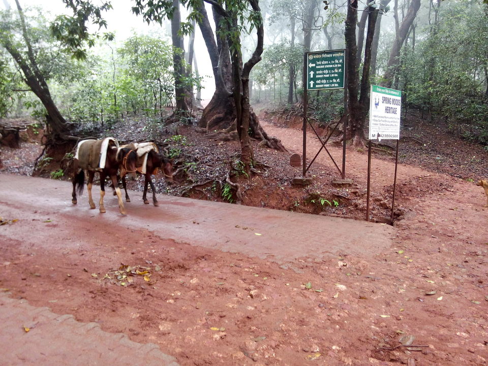 Photo of In Matheran's Mist 11/12 by Nilesh Jayswal