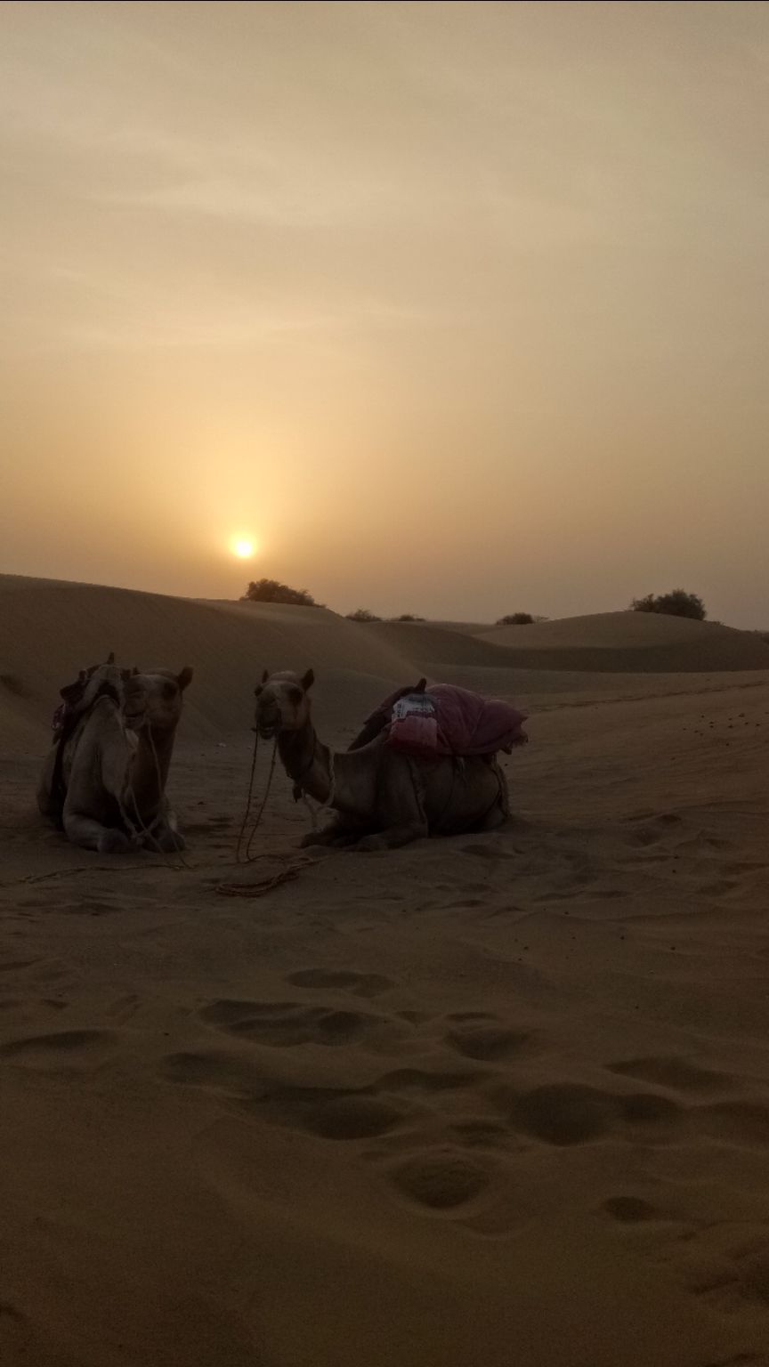 Photo of Jaisalmer by Mukul Peppal