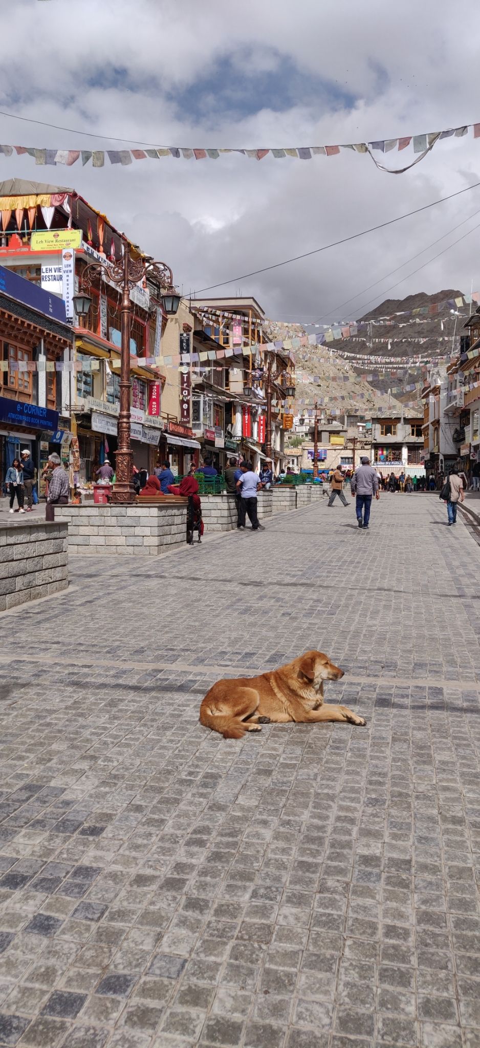 Photo of Leh by Mukul Peppal