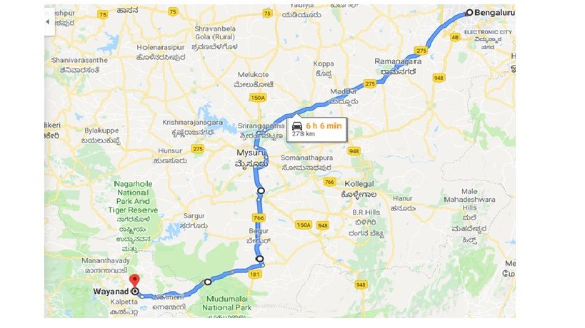 Photo of The best way to travel to kerala from Bangalore is through Bandipur,If you are lucky meet a tiger. 1/1 by Gypsi Life