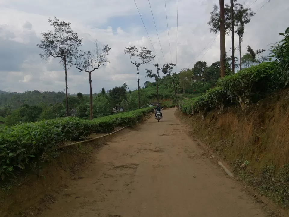 Photo of Wayanad, Kerala, India by Gypsi Life