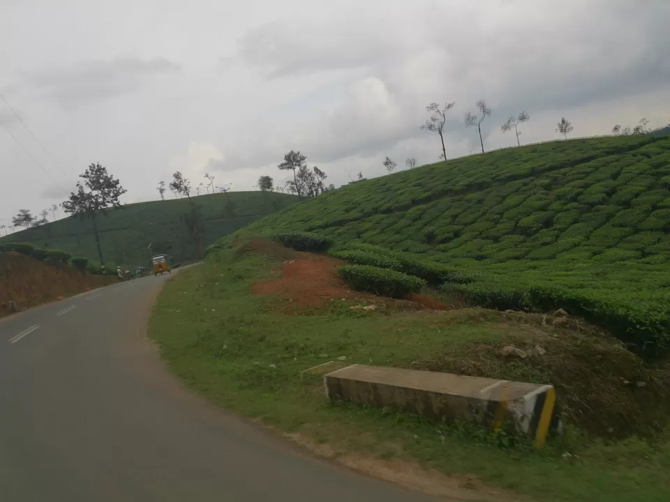 Photo of Wayanad, Kerala, India by Gypsi Life