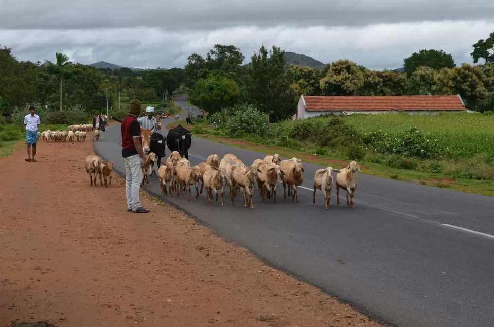 Photo of Gundlupete, Karnataka, India by Gypsi Life