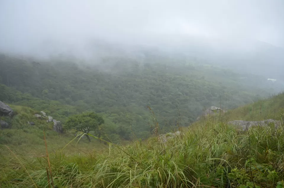 Photo of Gudalur, Tamil Nadu, India by Gypsi Life